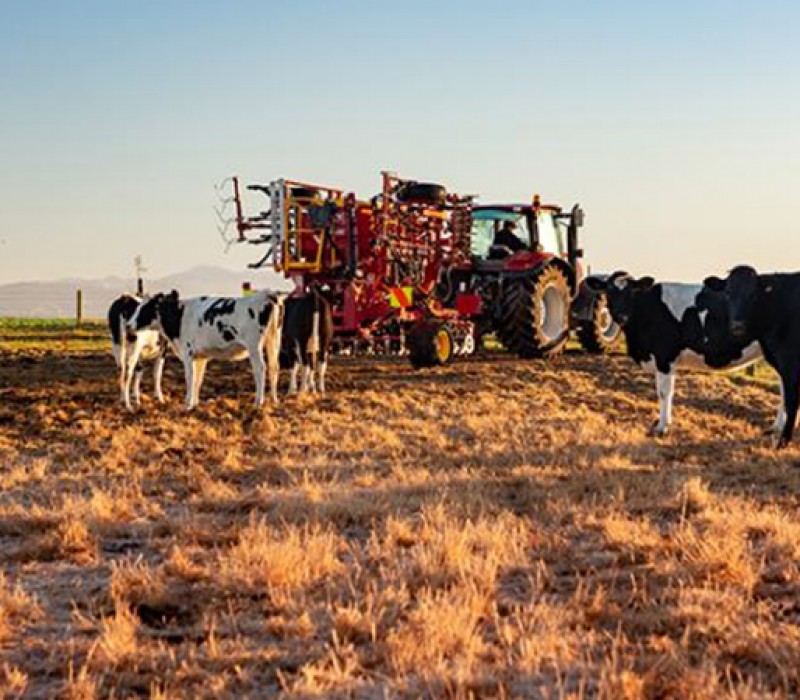 Duncan Tillage and Seeding Agricultural Equipment for Sale