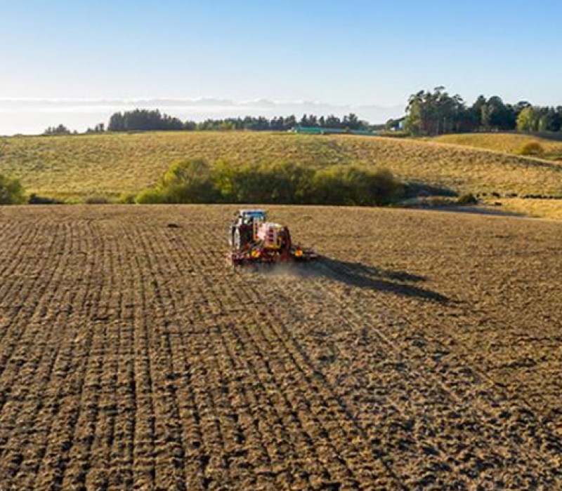 Duncan Tillage and Seeding Agricultural Equipment for Sale